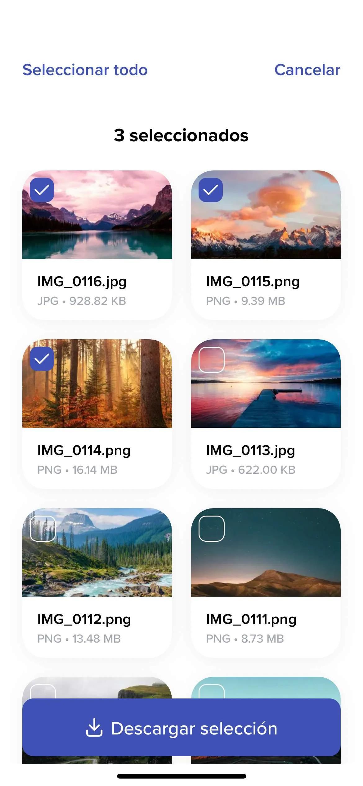 Captura de pantalla de nuestra app móvil Android mostrando el detalle de una transferencia con opciones de compartición y descarga